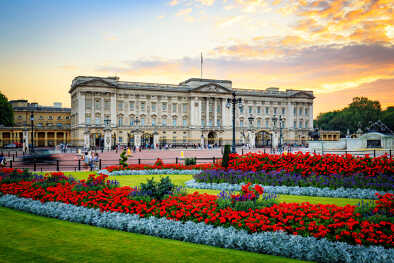 Blumen rund um den Eingang des Buckingham Palace Blumen rund um den Eingang des Buckingham Palace