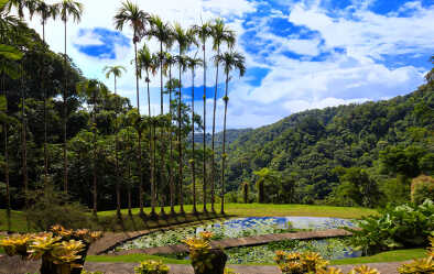 Jardin de Balata Jardin de Balata