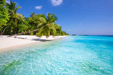 Kadavu Discovery Cruise Kadavu Discovery Cruise