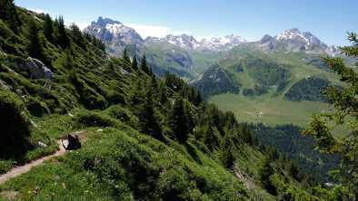 Pralinenbauernhof im Sommer mit Skipisten und Wäldern in Courchevel Three Valley Pralinenbauernhof im Sommer mit Skipisten und Wäldern in Courchevel Three Valley