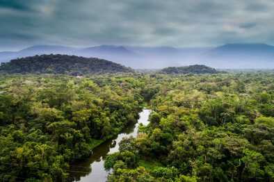 Amazon Rainforest Amazon Rainforest