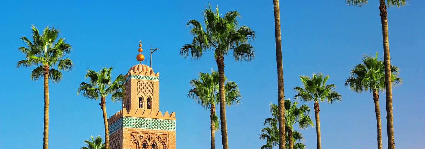 Minaret of a mosque truncating in the middle of palm trees in Marrakesh in Morocco