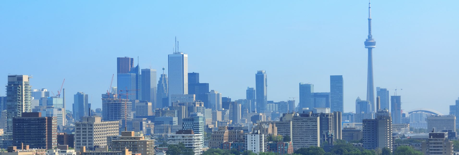 Photo de la ville de toront sous un ciel dégagé avec la CN tower sur la droite