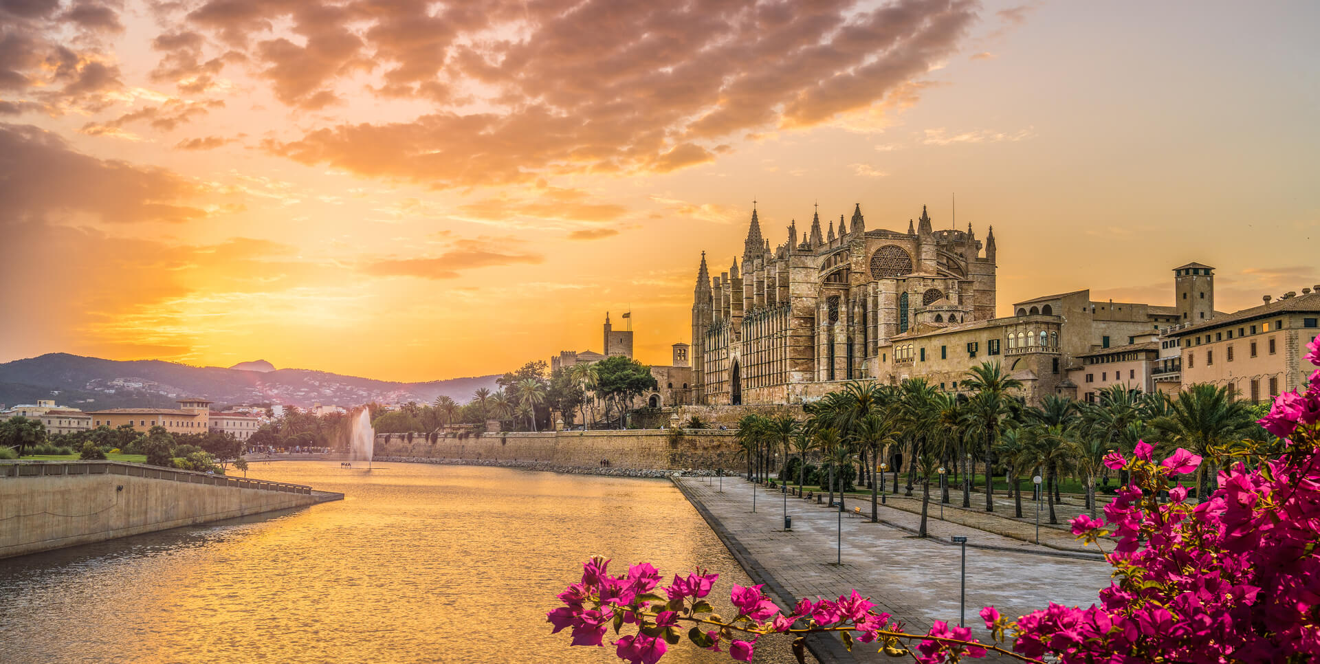 Landscape with Cathedral La Seu at sunset time in Palma de Mallorca islands, Spain
