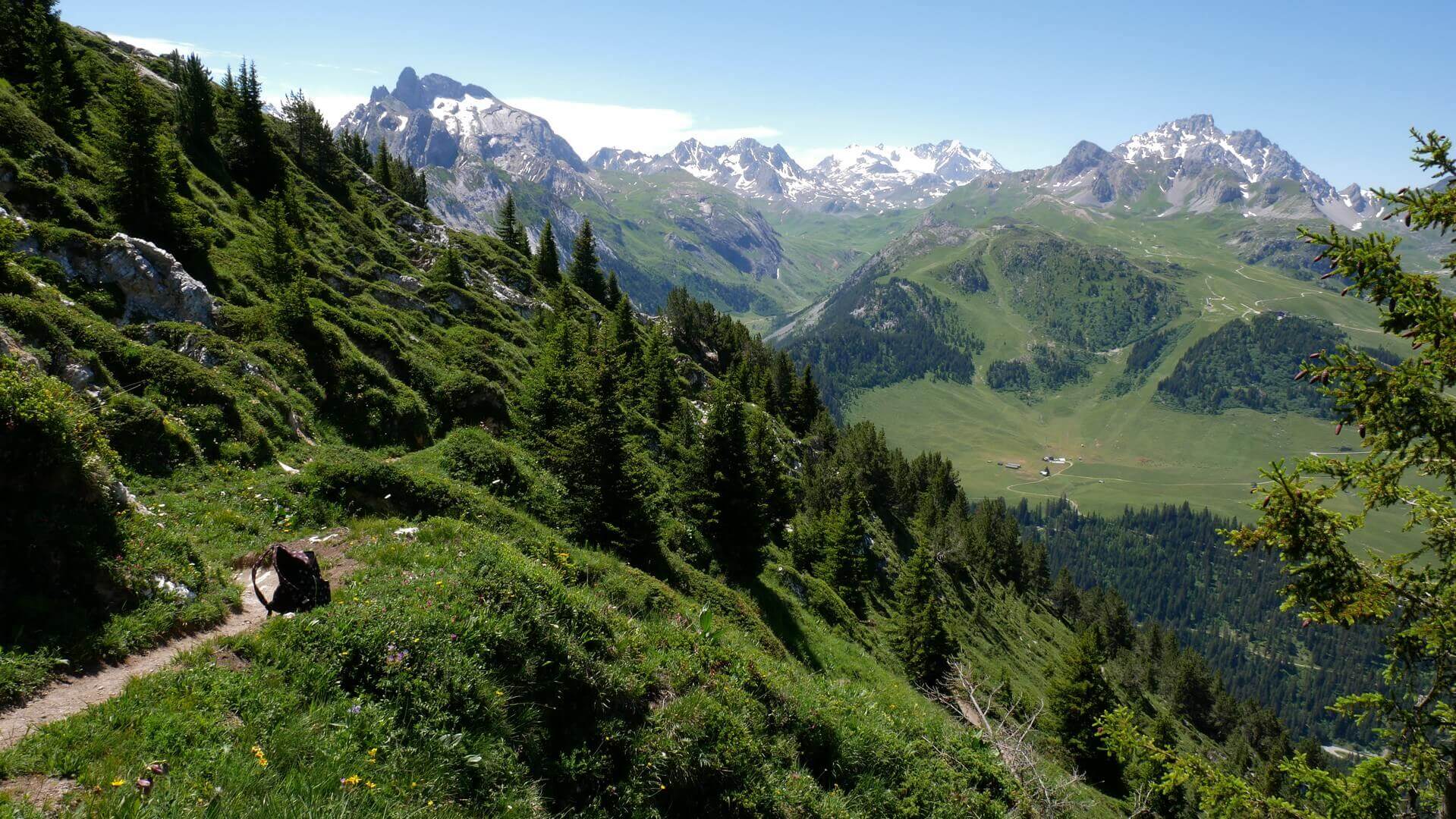 pralin farm in summer with ski slopes and forests in courchevel three valley
