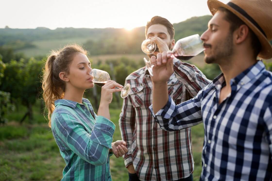 Happy people tasting wine in a vineyard in Sion