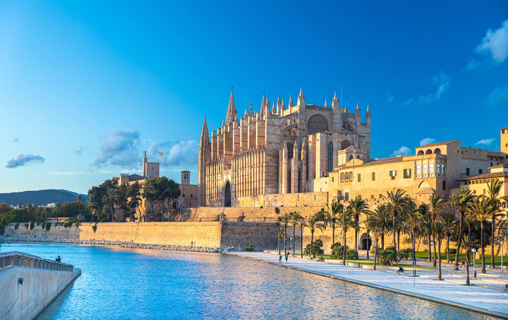 Panoramic view of Palma de Mallorca Cathedral