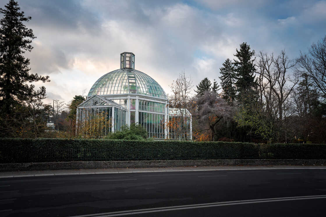 Serre du jardin botanique - Genève, Suisse