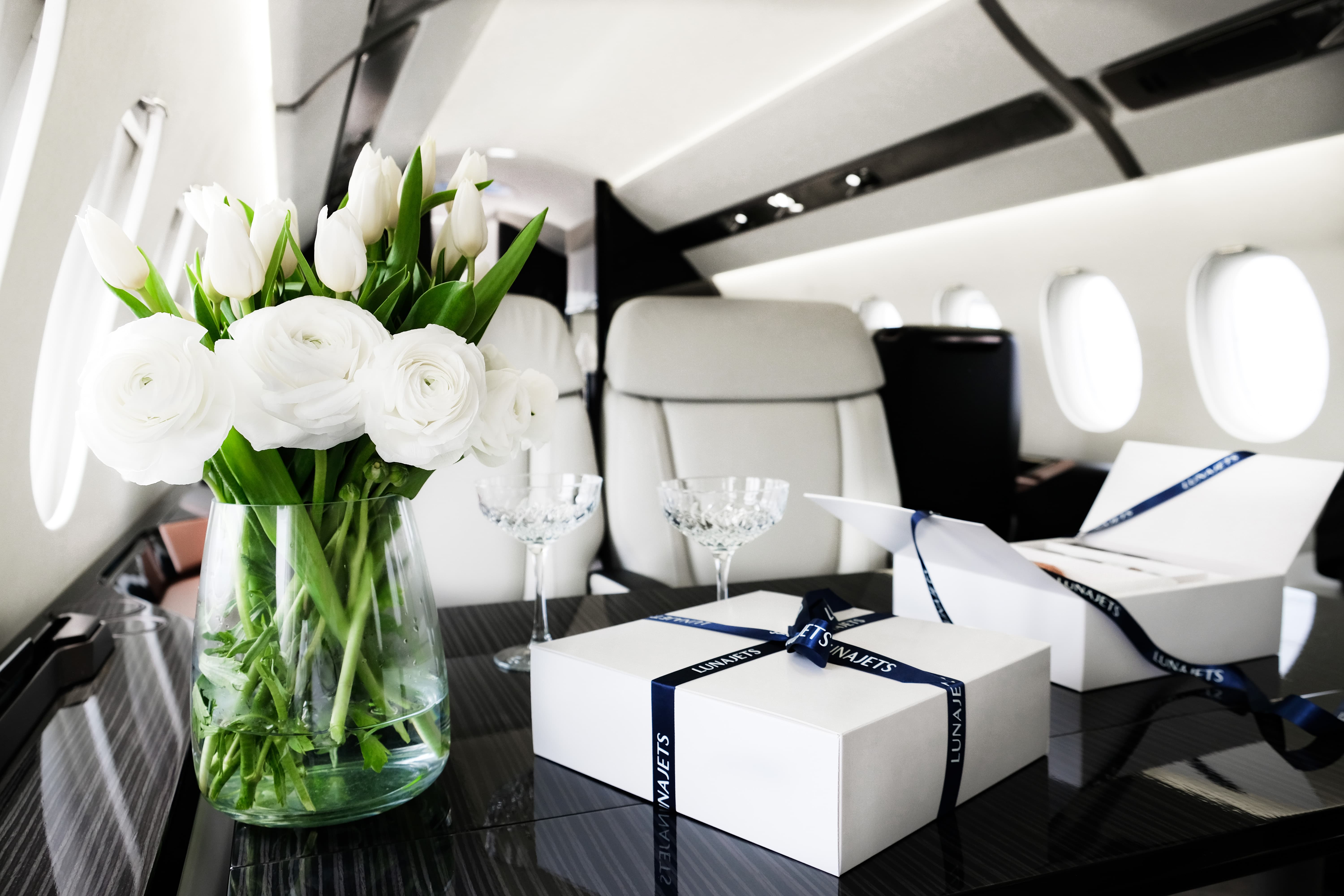 private jet luxury interior looking at the passenger seat