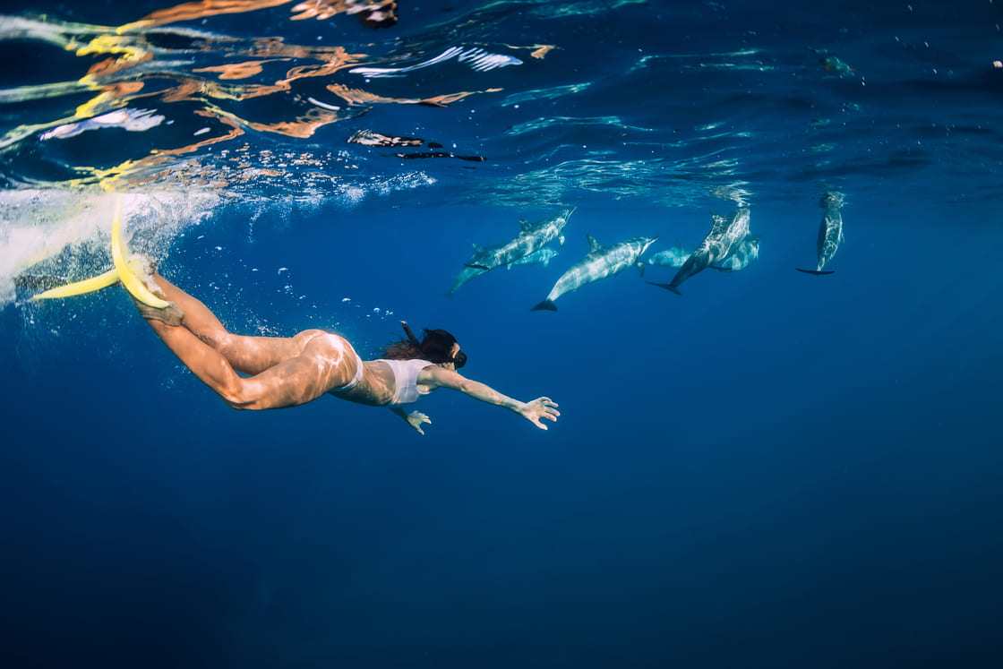 Junge Frau schwimmt unter Wasser mit Delfinen im blauen Ozean