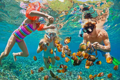 Scuba Diving