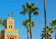 Minaret d'une mosque tronant au millieu de palmiers à Marrakesh au Maroc