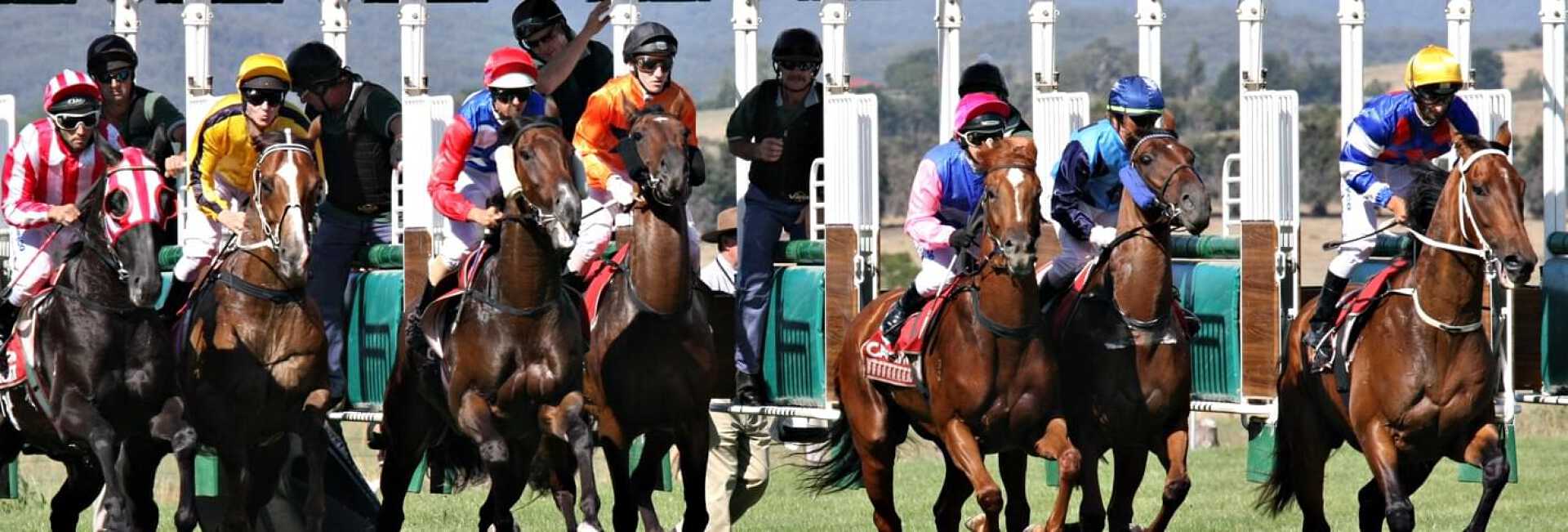 Seven jockeys on their respective horses at the beginning of the Melbourne Cup horse racing