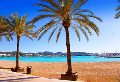 Ibiza Sant antoni de Portmany Abad spiaggia con palme