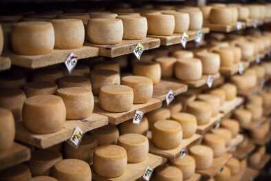 Queso de leche de vaca, guardado en estantes de madera y dejado madurar Queso de leche de vaca, guardado en estantes de madera y dejado madurar