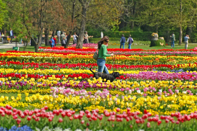 botanical garden in Ljubljana
