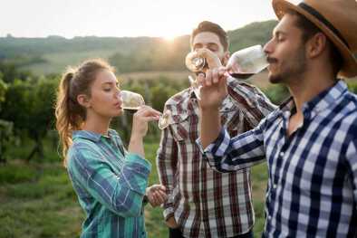 Persone felici che degustano vino in un vigneto a Sion Persone felici che degustano vino in un vigneto a Sion