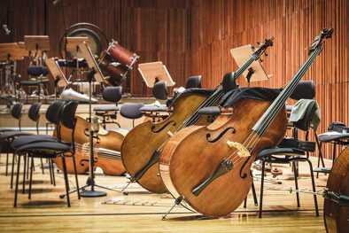 Contrabajos de lado en un foso de orquesta vacío Contrabajos de lado en un foso de orquesta vacío