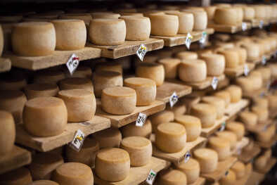 Formaggio di latte vaccino, conservato su scaffali di legno e lasciato a stagionare Formaggio di latte vaccino, conservato su scaffali di legno e lasciato a stagionare