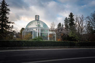 Invernadero del Jardín Botánico - Ginebra, Suiza