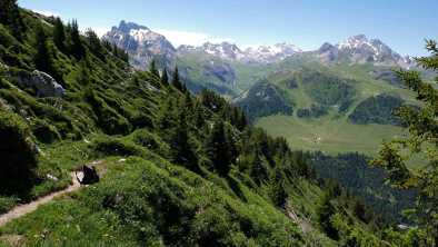 fattoria pralin in estate con piste da sci e boschi a courchevel tre valli
fattoria pralin in estate con piste da sci e boschi a courchevel tre valli