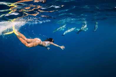 Mujer joven nada bajo el agua con delfines en el océano azul