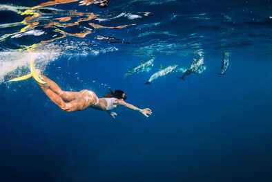 Mujer joven nada bajo el agua con delfines en el océano azul Mujer joven nada bajo el agua con delfines en el océano azul