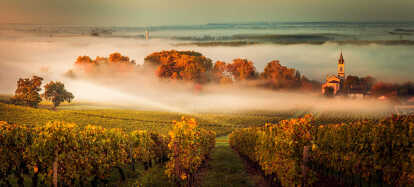 Paesaggio al tramonto e smog nel vigneto di Bordeaux Francia