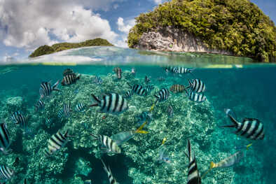 sea of Palau islands sea of Palau islands