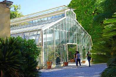 Vista del Orto Botanico dell'universita di Pisa, un histórico jardín botánico y museo ubicado en Pisa, Toscana. Vista del Orto Botanico dell'universita di Pisa, un histórico jardín botánico y museo ubicado en Pisa, Toscana.