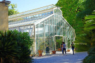 View of the Orto Botanico dell'universita di Pisa, a landmark botanical garden and museum located in Pisa, Tuscany.