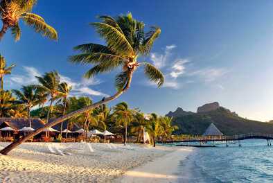 hotel con playa y palmeras en la isla de la polinesia francesa
