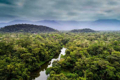 amazonas selva
