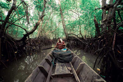 Tour de la ville de Sihanoukville et des mangroves en bateau