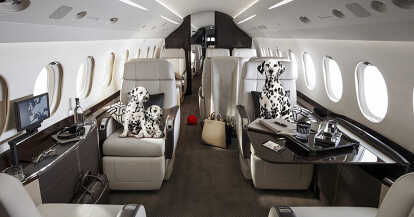 Volare con il proprio cane o gatto (e altri animali domestici) su un jet  privato